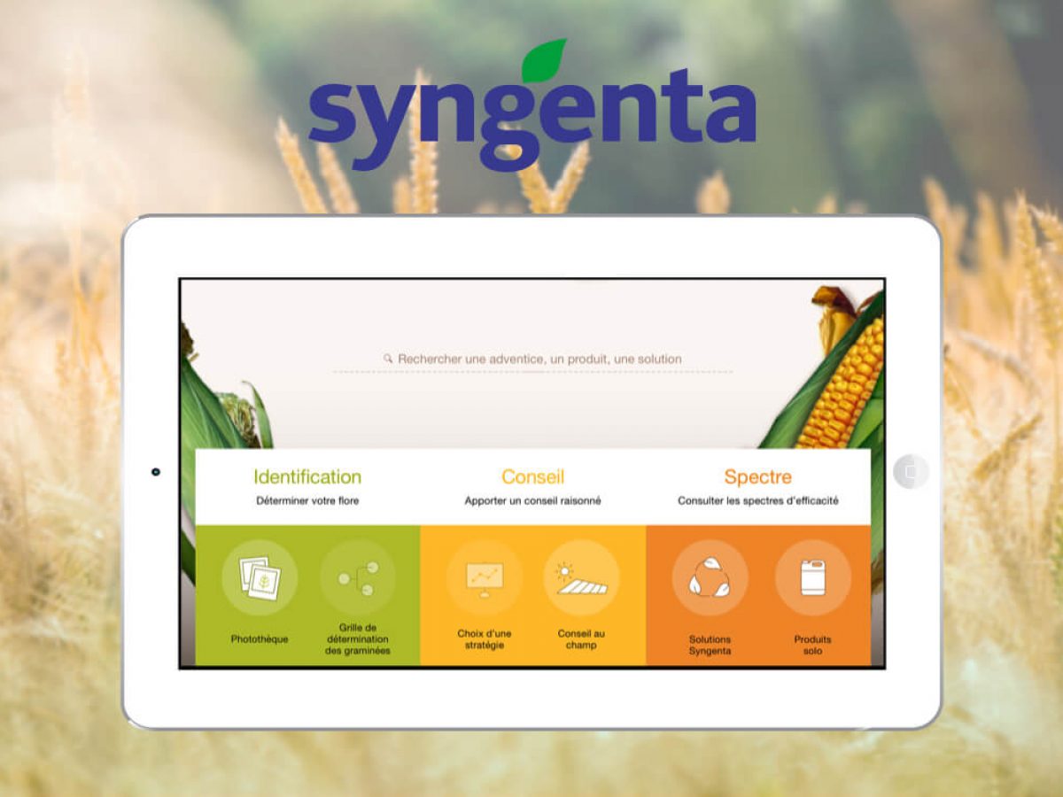 La paille des Hyvido, un enjeu pour les agriculteurs - Syngenta